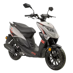 GTS Enzo Borasco Grey