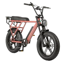 GTS-Fatbike Nobel Roze